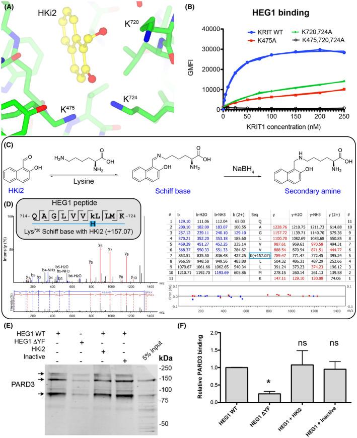 https://cdn.ncbi.nlm.nih.gov/pmc/blobs/15e2/8103725/7fb4fef81c5c/FBA2-3-334-g008.jpg