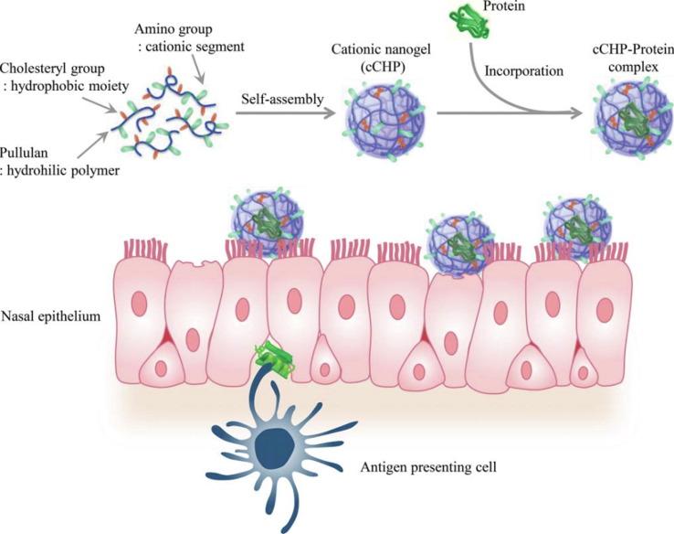 https://cdn.ncbi.nlm.nih.gov/pmc/blobs/15e2/8285224/2fb9050200d7/gr1_lrg.jpg