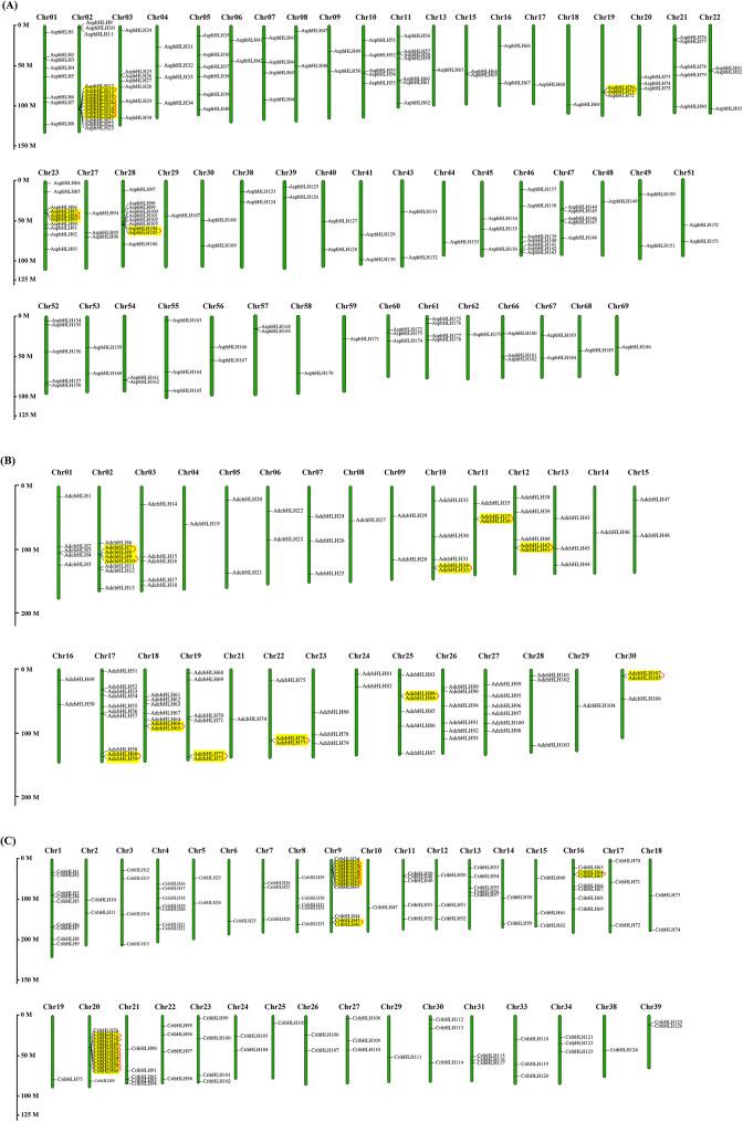 https://cdn.ncbi.nlm.nih.gov/pmc/blobs/15e6/11984291/034c5ded33b3/12864_2025_11522_Fig3_HTML.jpg