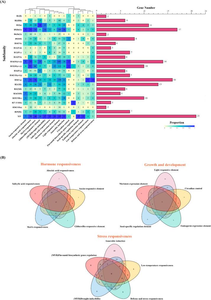 https://cdn.ncbi.nlm.nih.gov/pmc/blobs/15e6/11984291/0d51b030a551/12864_2025_11522_Fig2_HTML.jpg