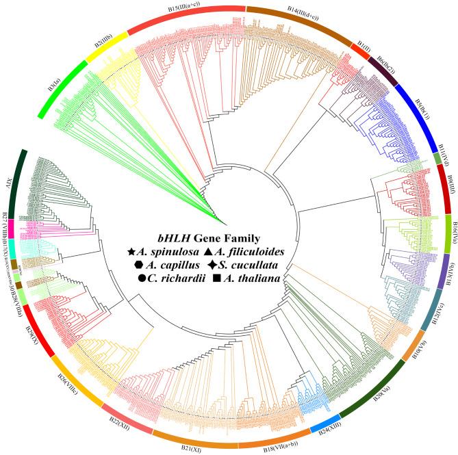 https://cdn.ncbi.nlm.nih.gov/pmc/blobs/15e6/11984291/f982e6fbdd95/12864_2025_11522_Fig1_HTML.jpg