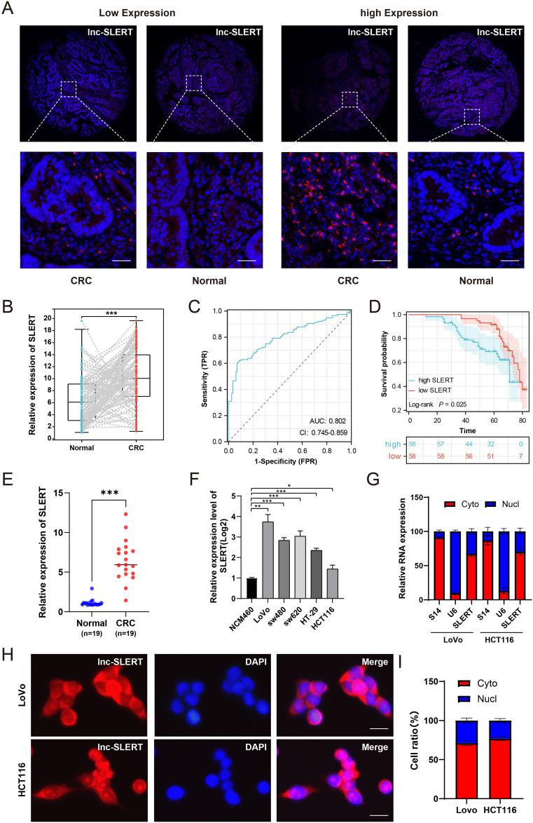 https://cdn.ncbi.nlm.nih.gov/pmc/blobs/15e6/12075449/565338a1a5c8/OTT-18-631-g0001.jpg
