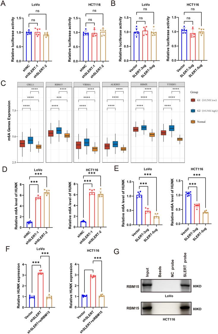 https://cdn.ncbi.nlm.nih.gov/pmc/blobs/15e6/12075449/ac0986fe90c6/OTT-18-631-g0005.jpg