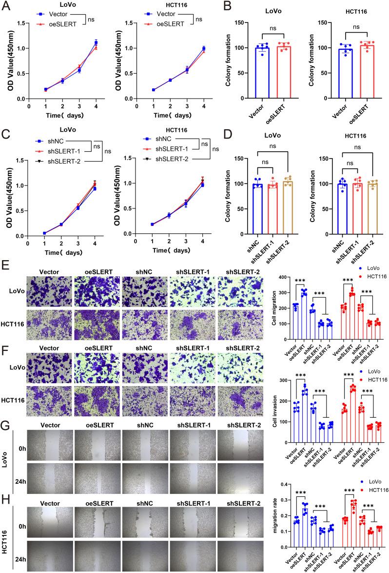 https://cdn.ncbi.nlm.nih.gov/pmc/blobs/15e6/12075449/d00303886fb3/OTT-18-631-g0002.jpg