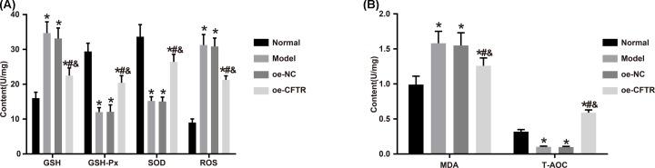 https://cdn.ncbi.nlm.nih.gov/pmc/blobs/15e7/6992926/8b9365ed4974/bsr-40-bsr20193667-g6.jpg