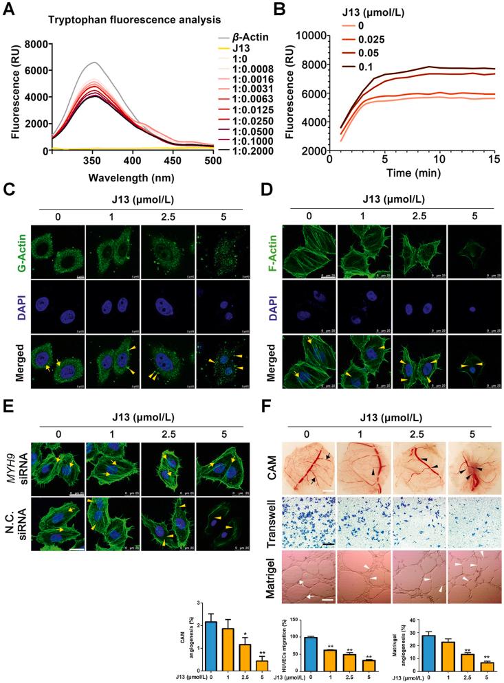 https://cdn.ncbi.nlm.nih.gov/pmc/blobs/15e7/8343112/1fd6a925ad30/gr4.jpg