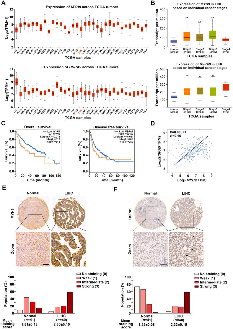 https://cdn.ncbi.nlm.nih.gov/pmc/blobs/15e7/8343112/cc4a5d88e099/gr6.jpg