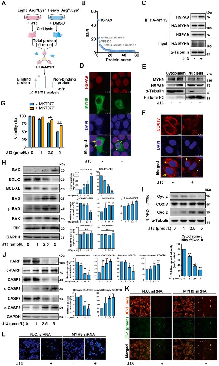 https://cdn.ncbi.nlm.nih.gov/pmc/blobs/15e7/8343112/d492b25a47cd/gr3.jpg