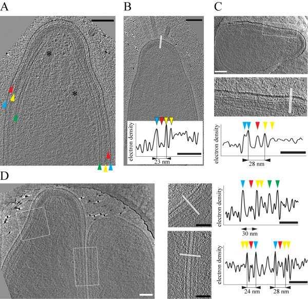 https://cdn.ncbi.nlm.nih.gov/pmc/blobs/15e8/2844354/ad233ce7efe4/1757-5036-3-6-2.jpg