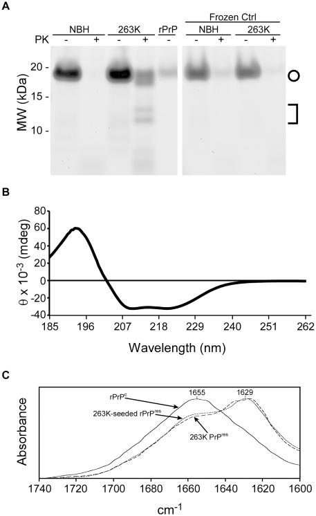 https://cdn.ncbi.nlm.nih.gov/pmc/blobs/15e9/2996325/1fa13592d72d/ppat.1001217.g002.jpg