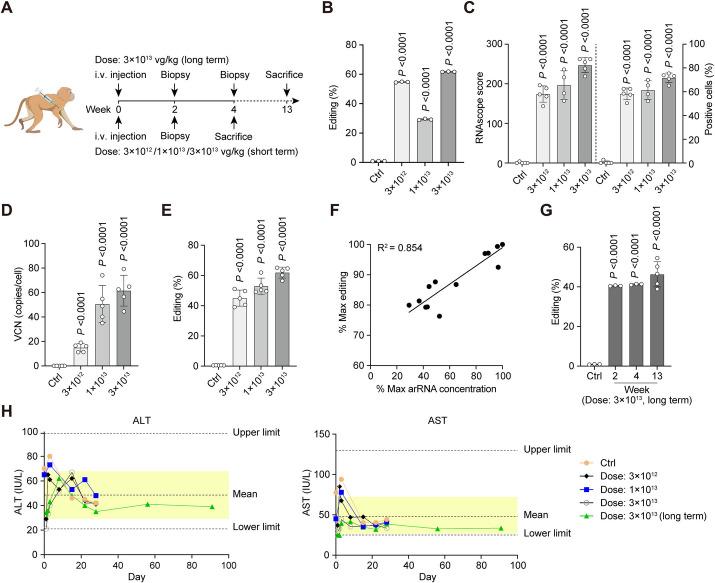 https://cdn.ncbi.nlm.nih.gov/pmc/blobs/15eb/10591355/0daede60bb37/13059_2023_3086_Fig2_HTML.jpg