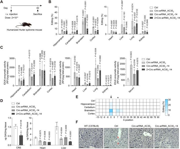https://cdn.ncbi.nlm.nih.gov/pmc/blobs/15eb/10591355/0f973780edac/13059_2023_3086_Fig5_HTML.jpg