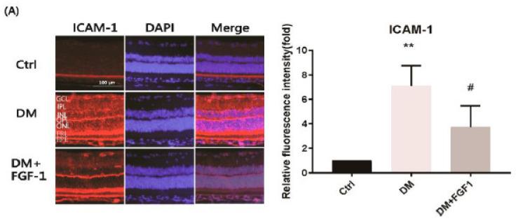 https://cdn.ncbi.nlm.nih.gov/pmc/blobs/15ec/8267624/4001f6a37021/ijms-22-07233-g003a.jpg