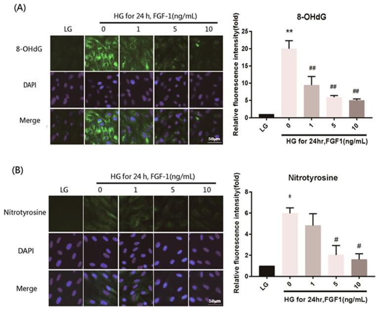 https://cdn.ncbi.nlm.nih.gov/pmc/blobs/15ec/8267624/6c1c8f04bd76/ijms-22-07233-g004a.jpg