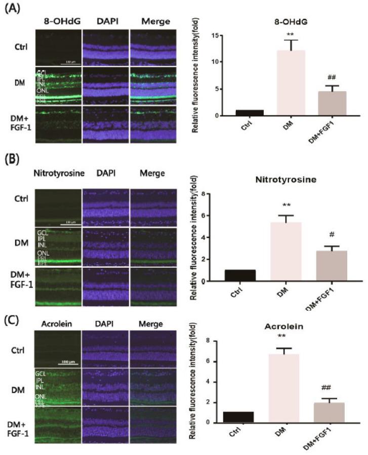 https://cdn.ncbi.nlm.nih.gov/pmc/blobs/15ec/8267624/c8d289955698/ijms-22-07233-g002.jpg