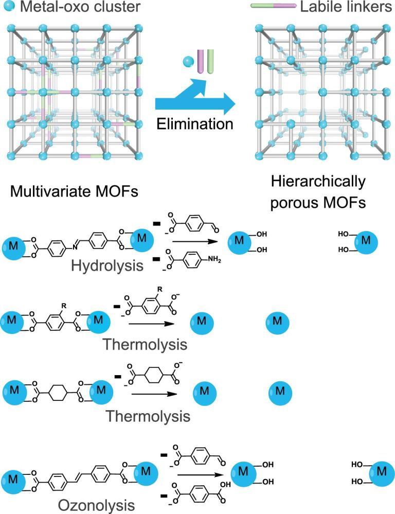 https://cdn.ncbi.nlm.nih.gov/pmc/blobs/15ec/8290954/23d99a1d1c39/nwz170fig6.jpg