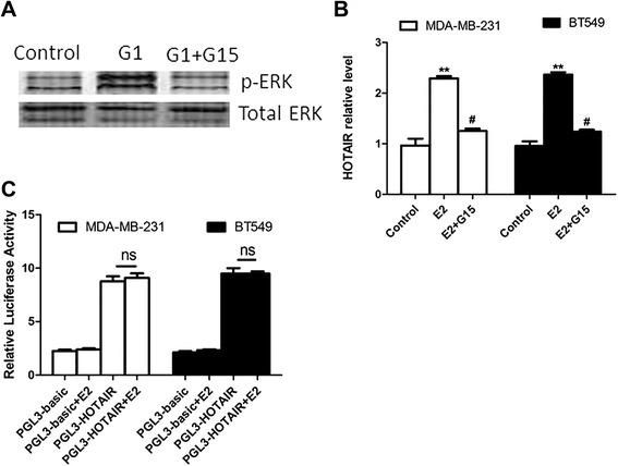 https://cdn.ncbi.nlm.nih.gov/pmc/blobs/15ee/4421993/c26b2f4a0032/12967_2015_489_Fig3_HTML.jpg