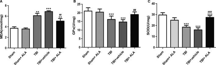 https://cdn.ncbi.nlm.nih.gov/pmc/blobs/15ef/6533507/c1a8b3536107/JCMM-23-4088-g006.jpg