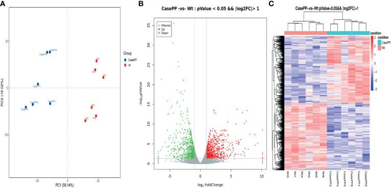 https://cdn.ncbi.nlm.nih.gov/pmc/blobs/15ef/8416891/20ef33103236/fcimb-11-716809-g001.jpg