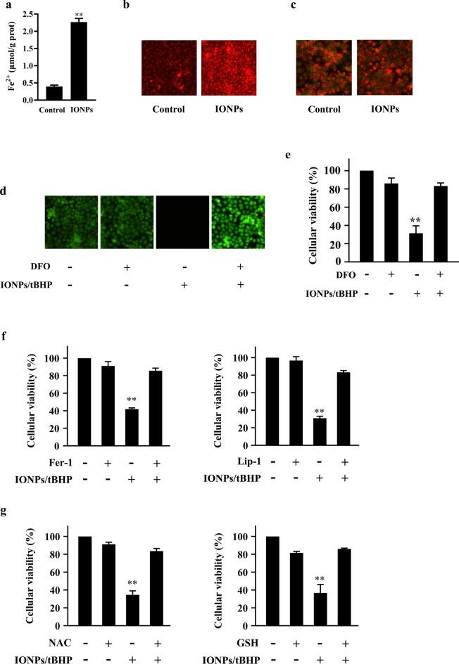 https://cdn.ncbi.nlm.nih.gov/pmc/blobs/15f0/11682176/b34f7181e037/41598_2024_82917_Fig3_HTML.jpg