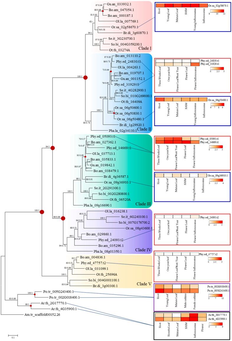 https://cdn.ncbi.nlm.nih.gov/pmc/blobs/15f1/11641677/c26b9522aef0/ijms-25-13062-g001.jpg
