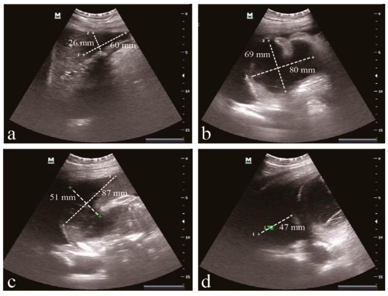 https://cdn.ncbi.nlm.nih.gov/pmc/blobs/15f2/9227846/f281acedaf62/pathogens-11-00657-g001.jpg