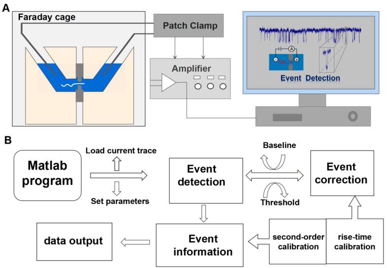 https://cdn.ncbi.nlm.nih.gov/pmc/blobs/15f3/9775113/5f9cd326dfb4/biosensors-12-01152-g001.jpg