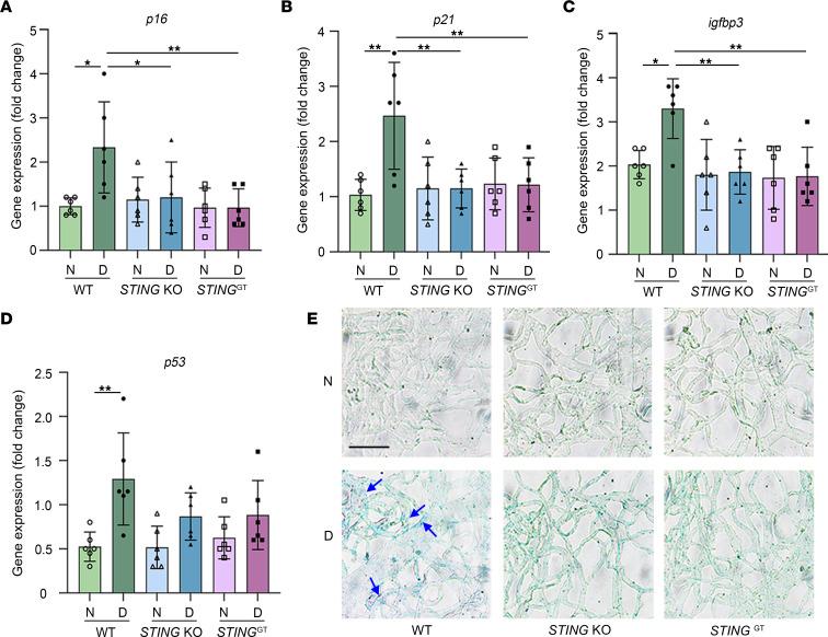 https://cdn.ncbi.nlm.nih.gov/pmc/blobs/15f4/10371250/8d8ab200f41b/jciinsight-8-168945-g082.jpg