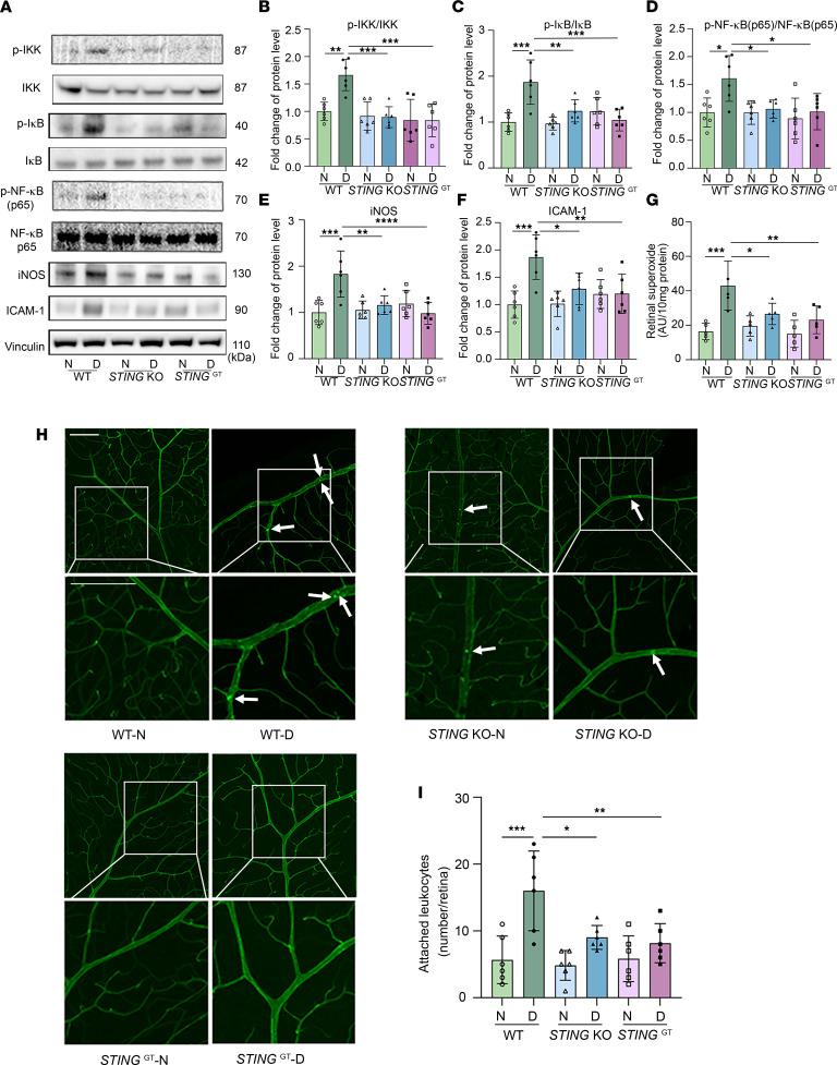 https://cdn.ncbi.nlm.nih.gov/pmc/blobs/15f4/10371250/b16032547fdc/jciinsight-8-168945-g078.jpg