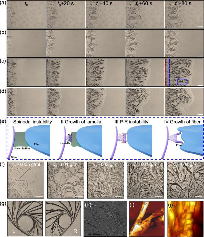 https://cdn.ncbi.nlm.nih.gov/pmc/blobs/15f8/12215426/0d6df28084d5/41467_2025_60635_Fig2_HTML.jpg