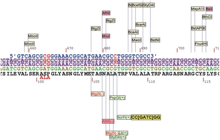 https://cdn.ncbi.nlm.nih.gov/pmc/blobs/15f8/2978379/d95a3649fbf7/gkq726f4.jpg