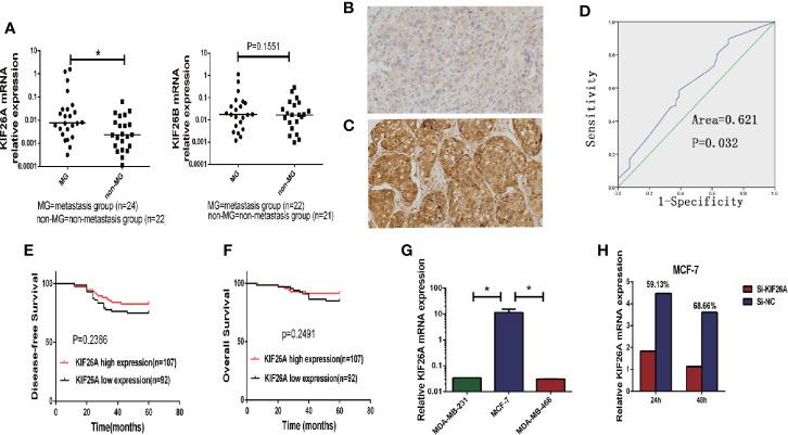 https://cdn.ncbi.nlm.nih.gov/pmc/blobs/15f8/7832431/32d2a5a07633/fonc-10-530933-g001.jpg