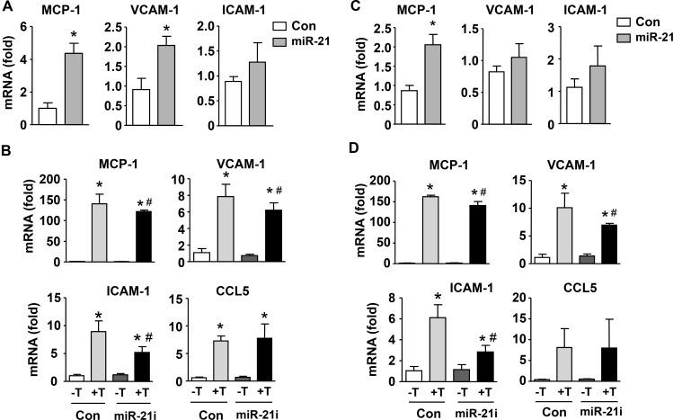 https://cdn.ncbi.nlm.nih.gov/pmc/blobs/15f9/5444729/bb91c8503972/oncotarget-08-30100-g005.jpg
