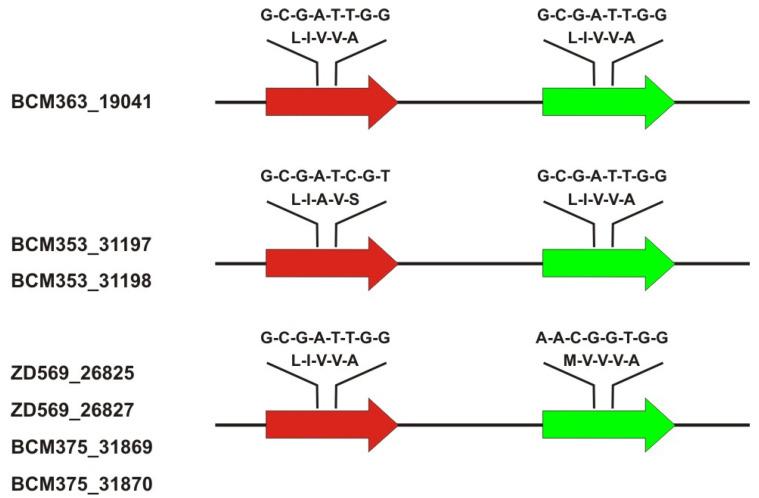 https://cdn.ncbi.nlm.nih.gov/pmc/blobs/15fa/9224739/953d8961e32f/ijms-23-06868-g001.jpg