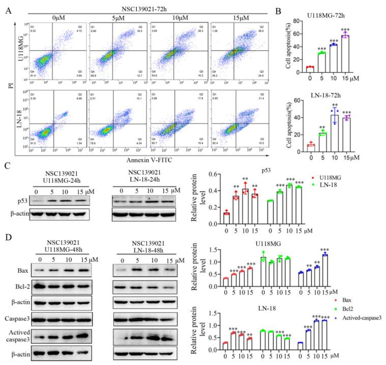 https://cdn.ncbi.nlm.nih.gov/pmc/blobs/15fc/8470931/141d4bf96d41/biomedicines-09-01244-g004.jpg
