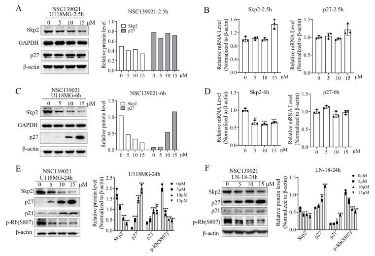 https://cdn.ncbi.nlm.nih.gov/pmc/blobs/15fc/8470931/15256e441261/biomedicines-09-01244-g003.jpg