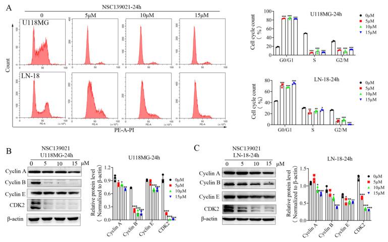 https://cdn.ncbi.nlm.nih.gov/pmc/blobs/15fc/8470931/1c8662622784/biomedicines-09-01244-g002.jpg