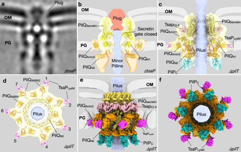 https://cdn.ncbi.nlm.nih.gov/pmc/blobs/15fd/11525922/f52aee54d0cd/41467_2024_53638_Fig2_HTML.jpg