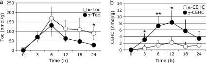 https://cdn.ncbi.nlm.nih.gov/pmc/blobs/15fd/4345175/6edc4852599d/jcbn14-107f02.jpg