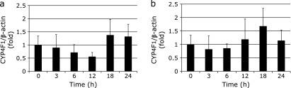 https://cdn.ncbi.nlm.nih.gov/pmc/blobs/15fd/4345175/f1f9a127b35e/jcbn14-107f05.jpg