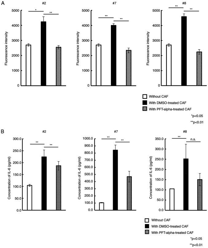 https://cdn.ncbi.nlm.nih.gov/pmc/blobs/15fe/10091076/1df79fd492fd/or-49-05-08535-g05.jpg