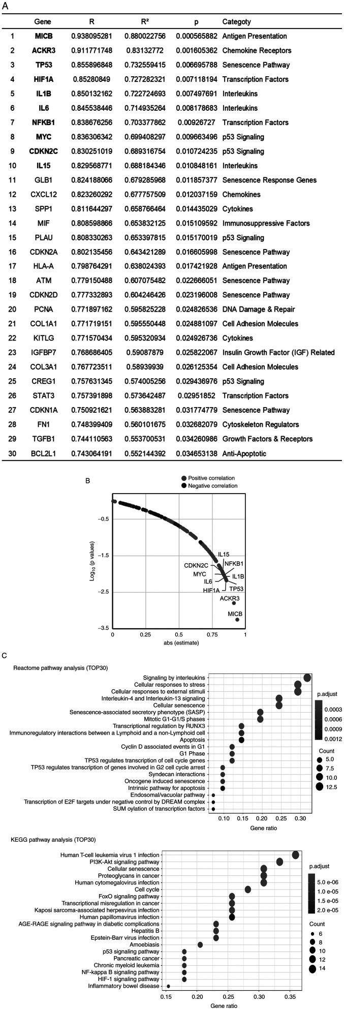 https://cdn.ncbi.nlm.nih.gov/pmc/blobs/15fe/10091076/c39dcc9d4fe5/or-49-05-08535-g02.jpg