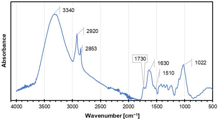 https://cdn.ncbi.nlm.nih.gov/pmc/blobs/15fe/11989794/37d876a83523/materials-18-01525-g002.jpg