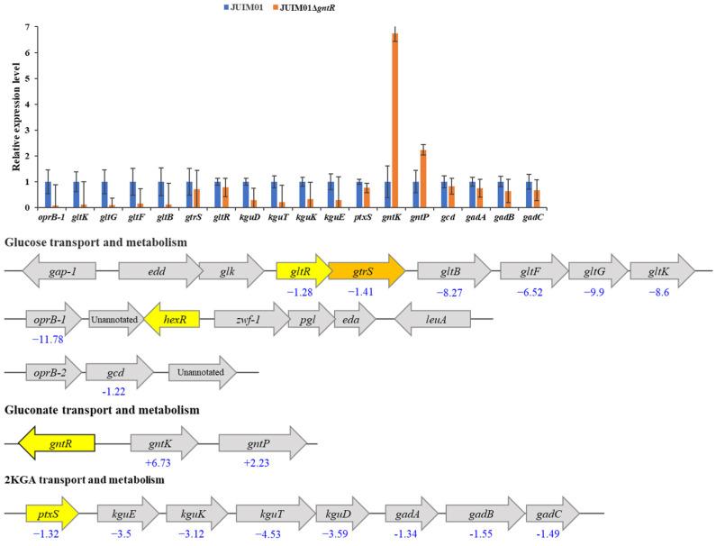 https://cdn.ncbi.nlm.nih.gov/pmc/blobs/1600/12195362/3a3c69f871ed/microorganisms-13-01395-g002.jpg