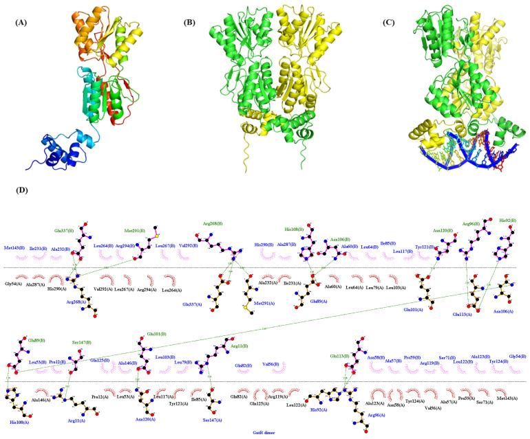 https://cdn.ncbi.nlm.nih.gov/pmc/blobs/1600/12195362/613f2d84e334/microorganisms-13-01395-g005.jpg