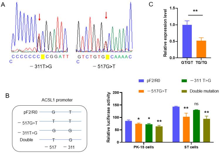 https://cdn.ncbi.nlm.nih.gov/pmc/blobs/1601/10377008/3c988bfbfa33/biomolecules-13-01057-g004.jpg
