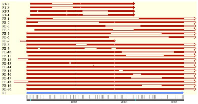 https://cdn.ncbi.nlm.nih.gov/pmc/blobs/1601/10377008/9b52c918e57b/biomolecules-13-01057-g005.jpg