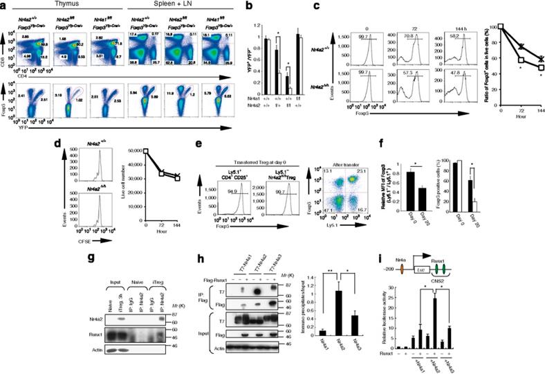 https://cdn.ncbi.nlm.nih.gov/pmc/blobs/1601/3104557/13f32c755fd2/ncomms1272-f6.jpg