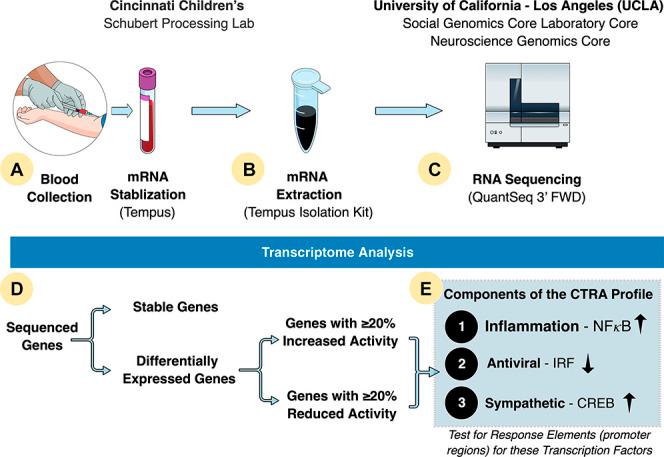 https://cdn.ncbi.nlm.nih.gov/pmc/blobs/1601/7803915/d5c04aebbb5d/painreports-6-e874-g001.jpg