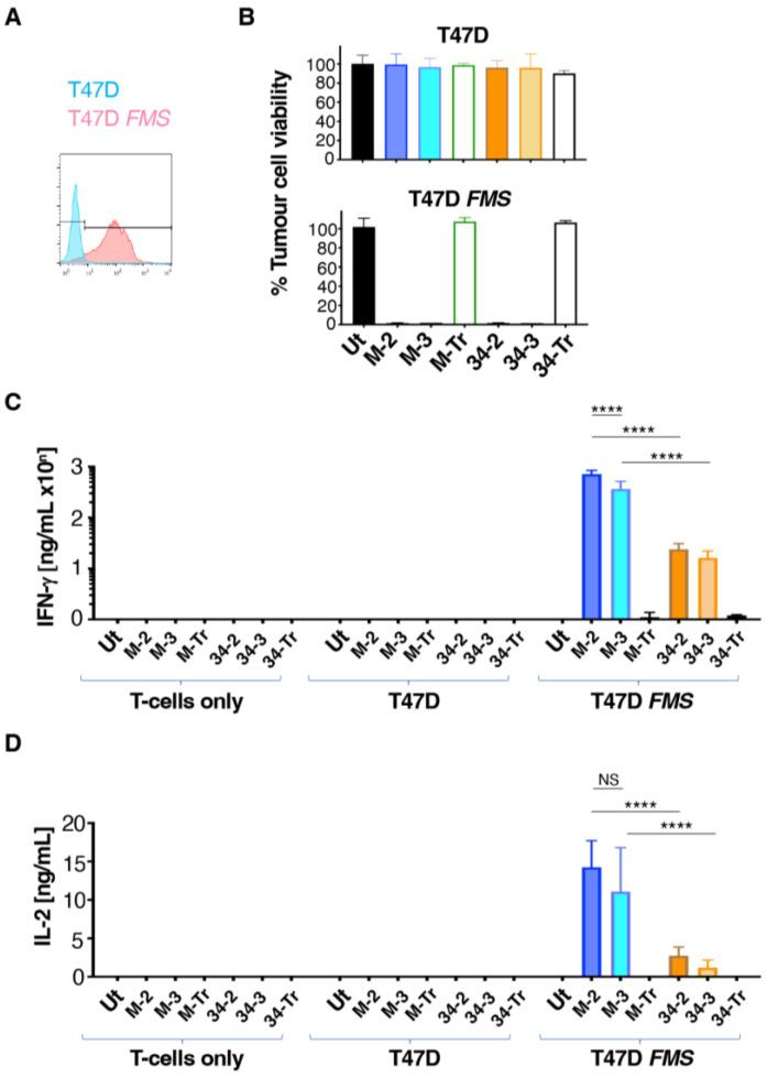 https://cdn.ncbi.nlm.nih.gov/pmc/blobs/1601/9323367/3dd31dc4ea60/cells-11-02190-g003.jpg